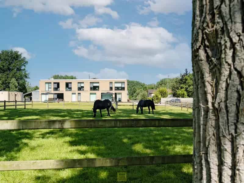 Huis te huur