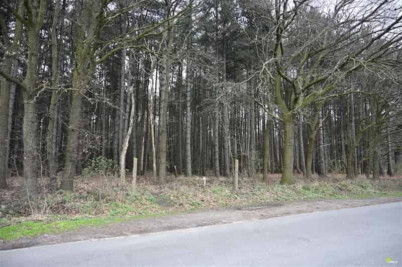 Bosgrond te Koop Wachtebeke