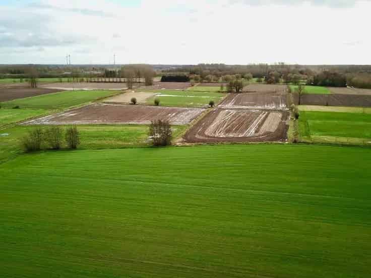 Halfopen Pastorijwoning te Koop Waasmunster