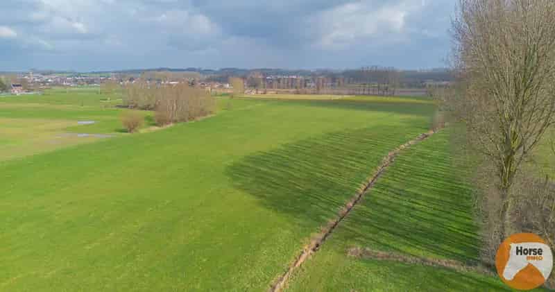 Hillegem Landbouwgrond Te Koop