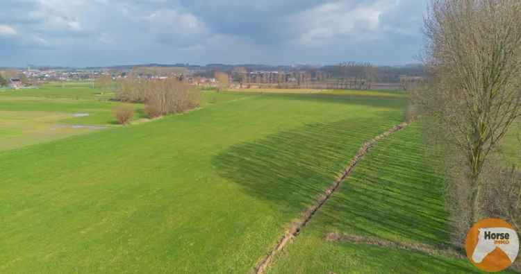 Hillegem Landbouwgrond Te Koop