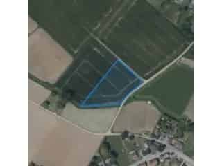 Landbouwgrond te koop Niel bij Sint Truiden VBD04751
