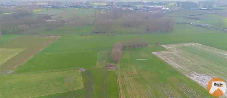 Landbouwgrond te koop Hillegem 4ha 32a
