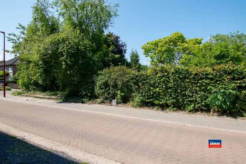 Bouwgrond te Lint 446m² Halfopen Bebouwing