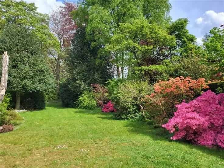 Huis Te Koop Hove: Charmante Gezinswoning 4 Slpk Grote Tuin