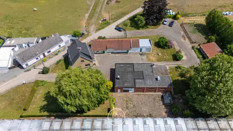 Huis te koop te renoveren Wetteren Ten Ede