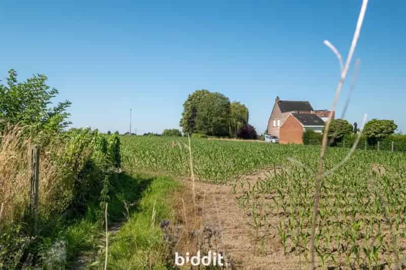 Te renoveren woning met tuin Oudenaarde