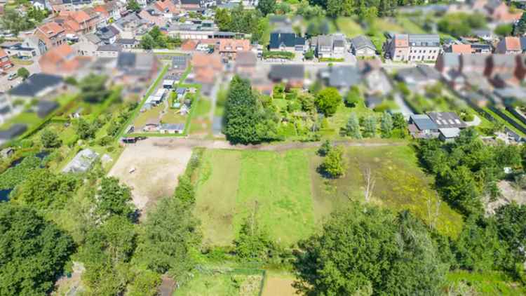 Charmante woning met gezellig tuin in OLEN