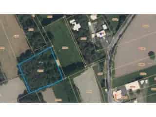 Bosgrond te Koop Linkhout 4764 ca Jachtgebied