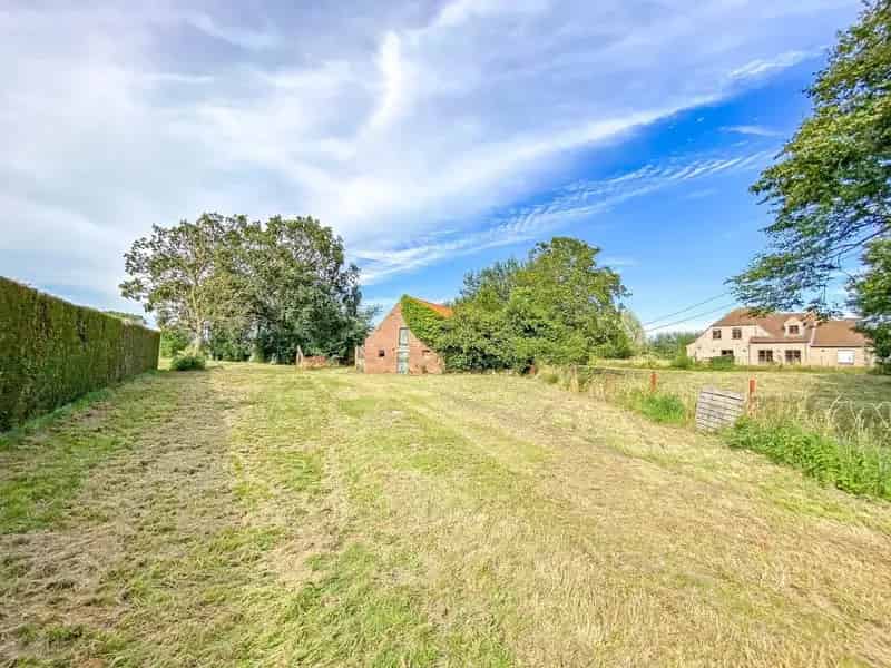 Te renoveren hoeve met veel potentieel Alveringem