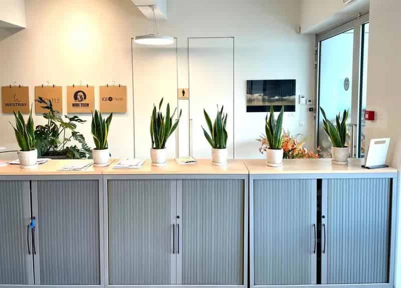 Handelspand Antwerpen Noord 225m² - Meatpack District