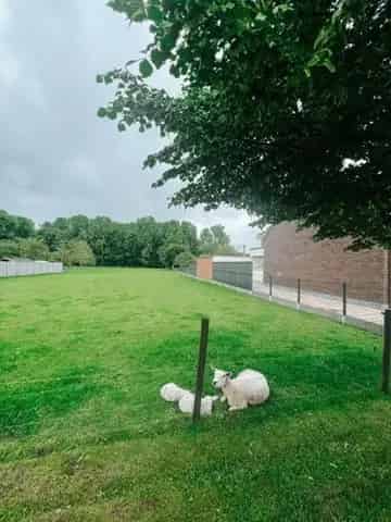 Bouwgrond te koop Meise 15a71ca