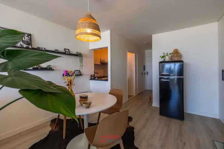 Studio te huur Nieuwpoort-Bad Zeedijk Uitzicht Zee