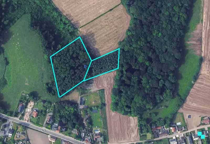 Bosgrond te koop Ronse 1ha 23a 40ca Nabij Pyrénée-Tombelle