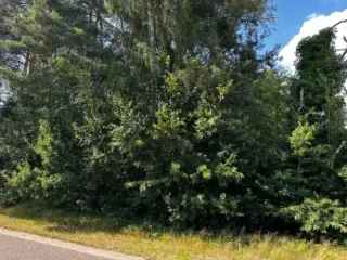 Bouwgrond Balen 1661m² - Villa - 30m Breedte