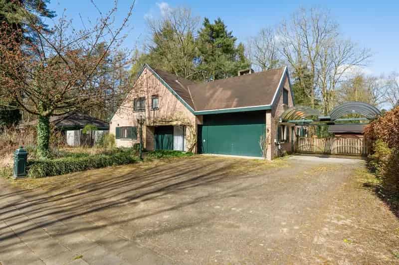 Ruime Villa Brasschaat met Zwembad