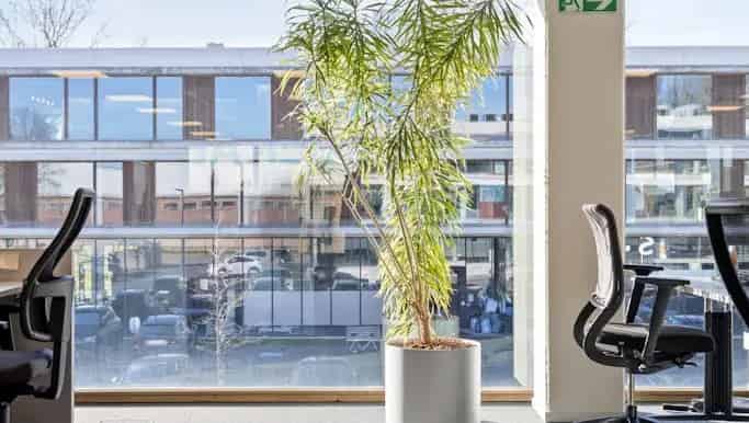 Kantoor te huur Zwevegem 663m2 Z-Offices