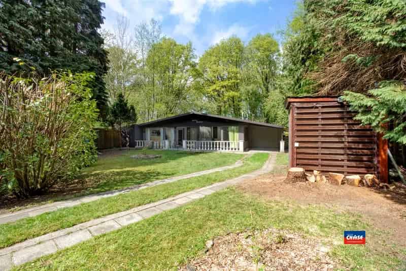 Huis te huur Vakantiehuis Rust Privacy Bos Weiland