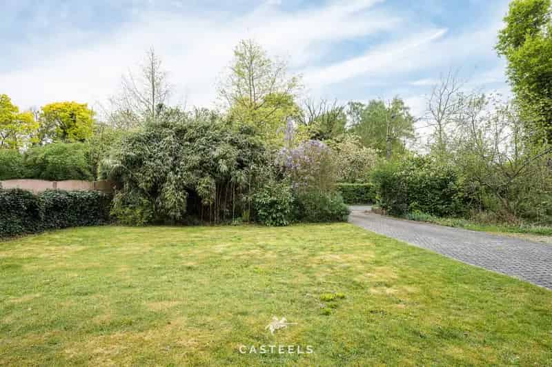 Huis te koop Laarne renovatieproject