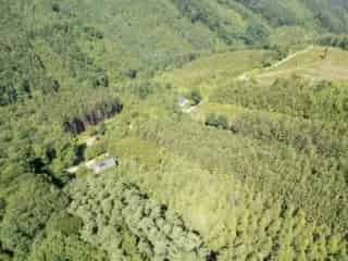 Bouwgrond 1382m² Maboge - Rustig bosperceel nabij La Roche Bastogne