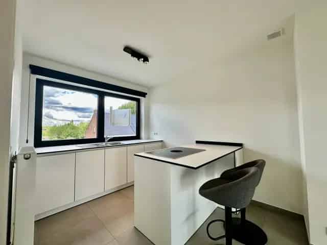 Appartement te huur 2 slaapkamers Massemen