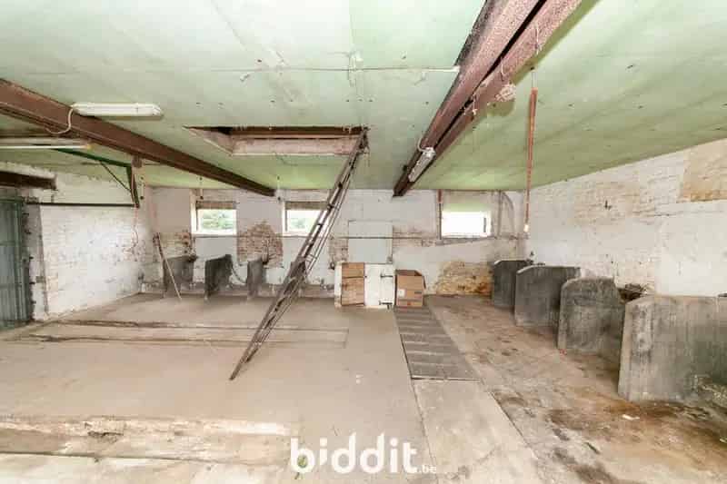 HOEVEWONING MET BIJGEBOUWEN EN WEIDE
