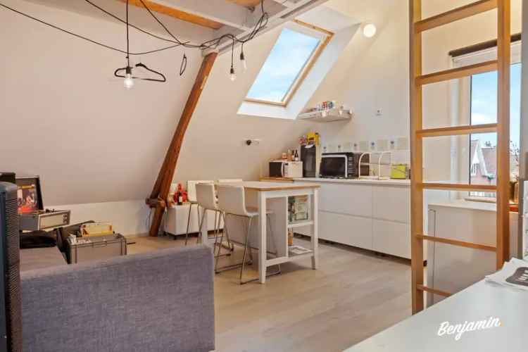 Huis te huur Heule: Halfopen woning met loods