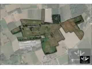 Landbouwgrond Wellen 115 hectare te koop