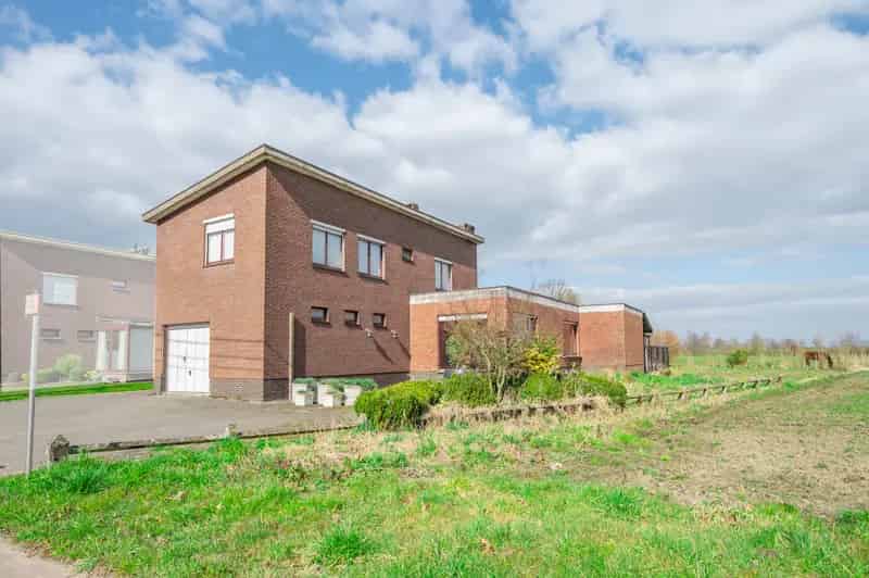 Huis te koop Sint-Pauwels: Landelijke open bebouwing met 3 slaapkamers