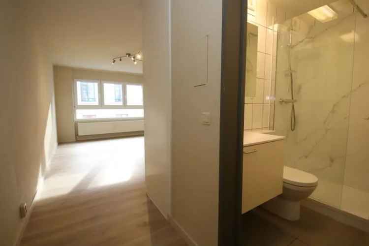 Te koop appartement gerenoveerde studio in centrum met goede ligging