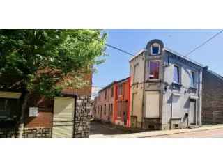 Huis te Koop Gilly - Charmante woning met tuin en kelder