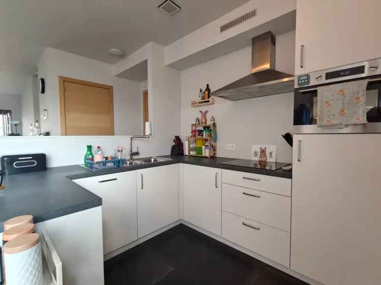 Duplex Appartement te huur Lokeren
