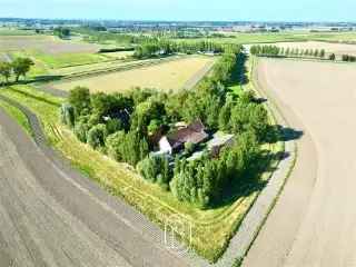 Boerderij - hoeve te koop - Ramskapelle RBS08116