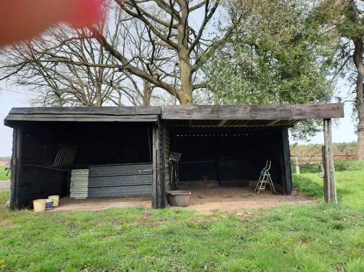 Mooie omheinde weide met schuilstallen te Helchteren