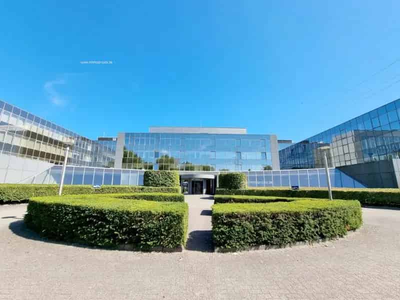 Kantoorruimte te huur Zwijndrecht 475m2 nabij E34