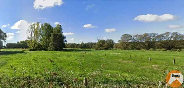 Recreatiegrond te koop Mespelare Dendermonde