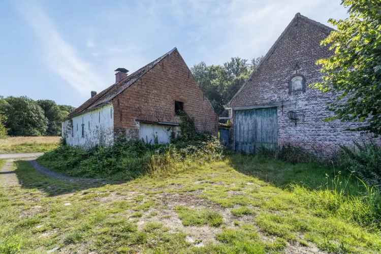 Te renoveren boshuis in Zandbergen