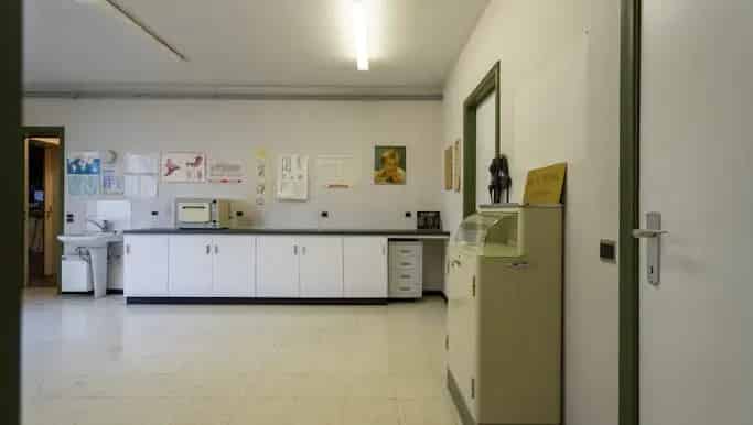 Kantoor met woning te koop in Bissegem