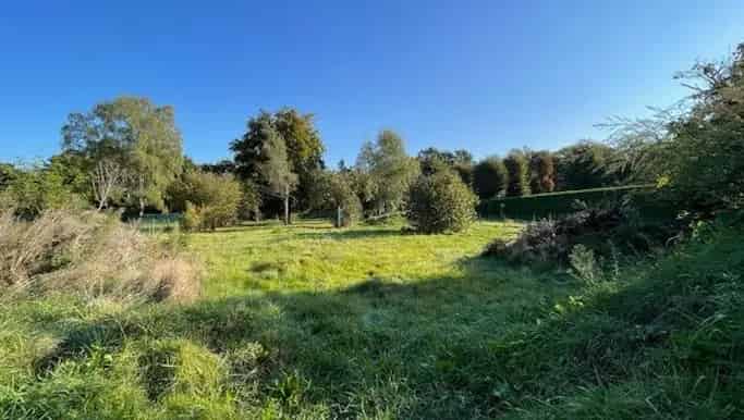 Nieuwbouwwoning te Koop in Kuringen Hasselt