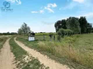 Landbouwgrond te koop Lierde 31a30ca