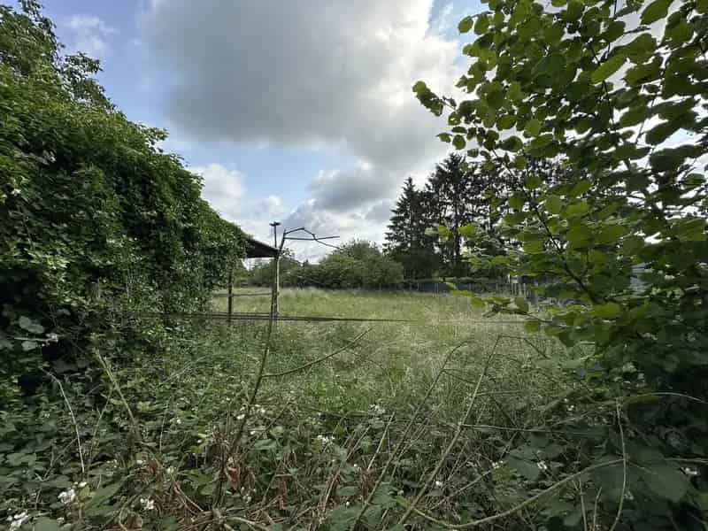Bouwgrond te Huur Westmalle 492m²