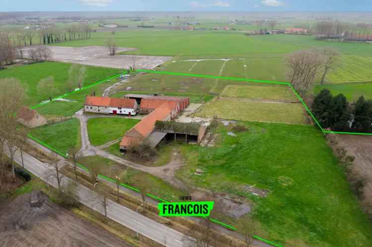 Te renoveren boerderij 53 hectare Damme