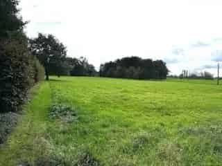 Landbouwgrond te Koop Heist-op-den-Berg