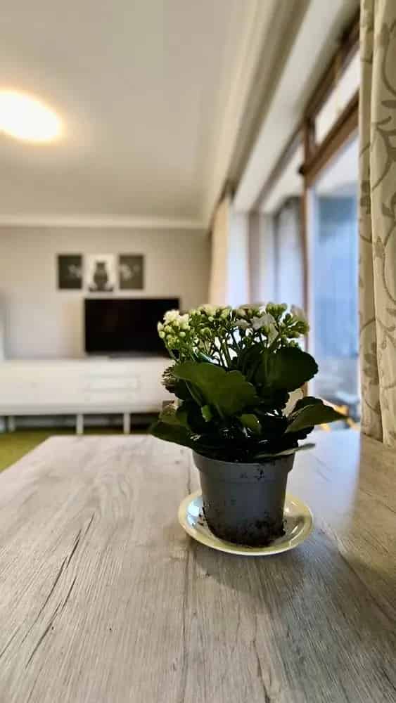 Studio te Koop Blankenberge - Residentie Astoria