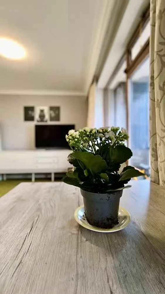 Studio te Koop Blankenberge - Residentie Astoria