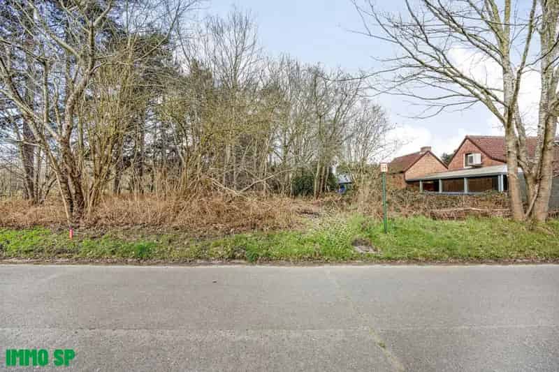 Bouwgrond Westerlo 11a 17ca Open Bebouwing