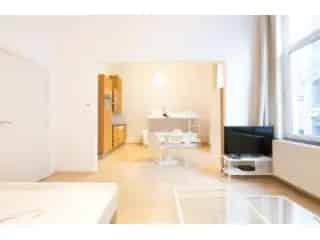 Appartement te Huur Brussel Centrum 48m²