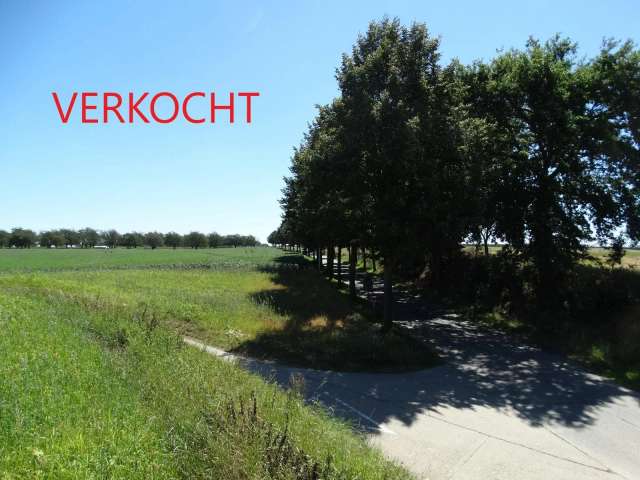 Bouwgrond te koop in Heers – Groep N