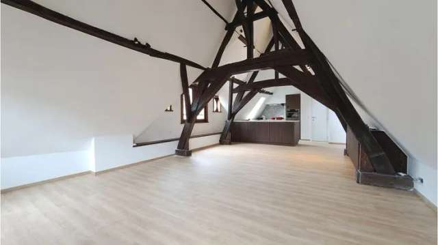 Volledig Vernieuwd Loft Appartement Te Huur In Brugge